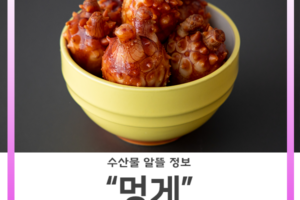 [알뜰정보] 멍게 :: 저칼로리 영양만점 수산물