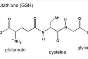 글루타치온의 효능과 기전, 제품 고르는 방법